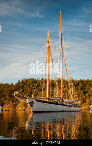 La storica tall ship "Zodiaco" ancore in un piccolo porto off Shaw isola in San Juan Islands dello Stato di Washington, USA. Foto Stock