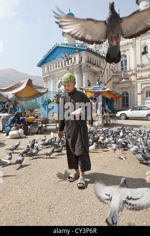 Ragazzo afghano piccioni di alimentazione in corrispondenza di una moschea di Kabul, Afghanistan Foto Stock