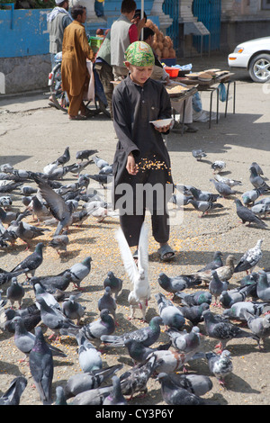 Ragazzo afghano piccioni di alimentazione in corrispondenza di una moschea di Kabul, Afghanistan Foto Stock