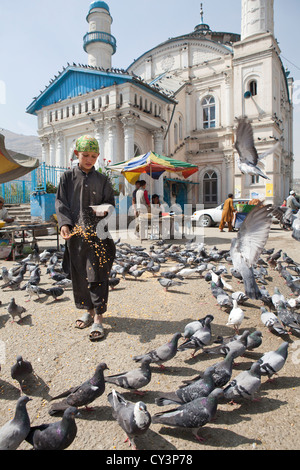 Ragazzo afghano piccioni di alimentazione in corrispondenza di una moschea di Kabul, Afghanistan Foto Stock