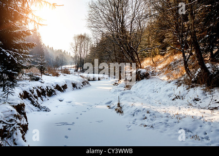 Mattina di sole in inverno il paesaggio con fiume congelato Foto Stock