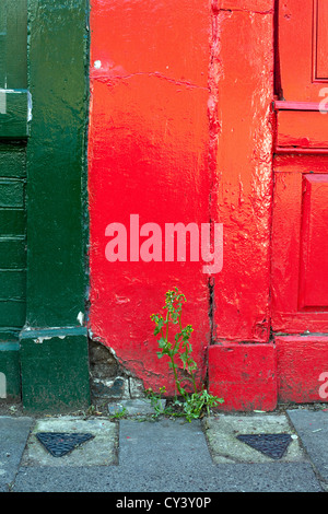 Un erbaccia cresce attraverso le pietre per pavimentazione tra il rosso e il verde le persiane, Columbia Road Market. Hackney, Londra UK Foto Stock