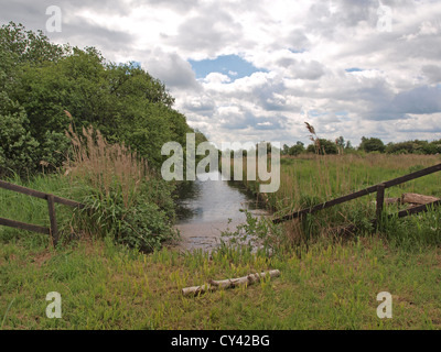 Bird Watching nascondere sulla zona umida a Wicken Fen Riserva Naturale, Lode Lane Wicken, Ely, Cambridge, East Anglia Foto Stock