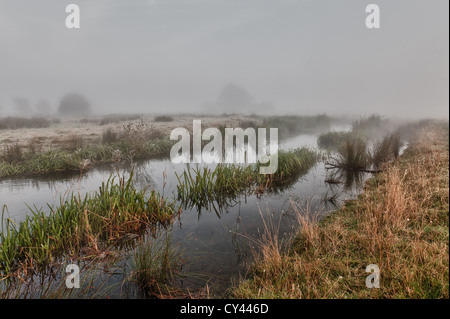 Sunrise attraverso la mattina presto estate nebbia creata dal fiume Darent salendo attraverso i campi nelle vicinanze moody nebbioso sentimento forme nascoste Foto Stock