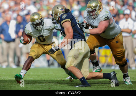 Dublino, Irlanda - 1 settembre RB Theo Riddick (#6 Notre Dame) corre con la palla durante il NCAA Football gioco. Foto Stock