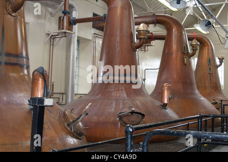 Highland Park Distillery, rame, alambicchi, Kirkwall, isole Orcadi, Scozia. Foto Stock