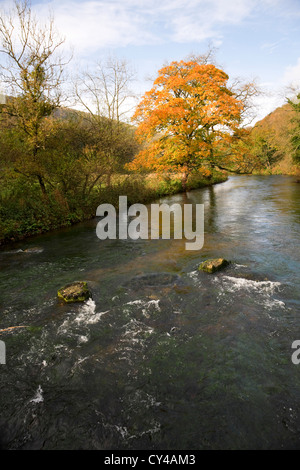 Fiume Wye fluente attraverso Monsal Dale, Derbyshire Peak District. Foto Stock