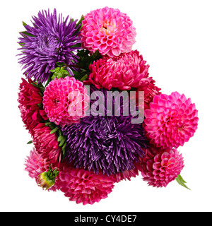 Bouquet di fiori d'autunno. Dalie e gli astri isolato su bianco Foto Stock