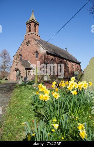 Villaggio di Coddington, Inghilterra. Vista la molla di narcisi davanti la chiesa di Saint Mary nel villaggio di Coddington. Foto Stock