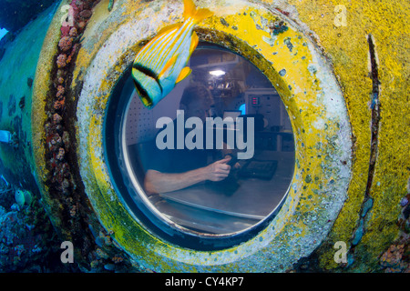 Guardando attraverso la finestra di visualizzazione principale del Aquarius Habitat Foto Stock