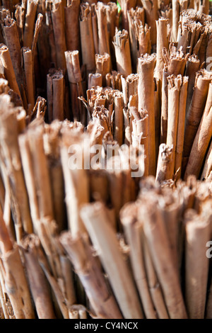 Corteccia morbida Canella, cannella, bastoni in Giamaica Mercato in Colonia in Giamaica a Venustiano Carranza borough di Città del Messico Foto Stock