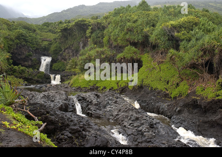 Elk284-4861 Hawaii Maui Haleakala National Park Kipahulu sezione Ohea Gulch sette Sacri Piscine Piscine inferiore con cascate Foto Stock