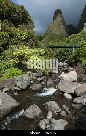 Elk284-4046v Hawaii Maui, Iao Valley State Park, Iao ago Foto Stock