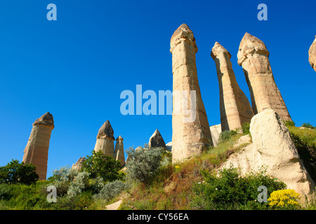 Le formazioni rocciose del camino delle fate della Valle dell'Amore, vicino a goreme, Cappadocia Foto Stock