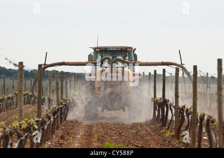 Il trattore spayng un vigneto in bud shoot stagione, Borba, Alentejo, Portogallo Foto Stock