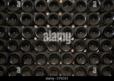 Vecchie bottiglie in una cantina di vini, Borgogna, in Francia, in Europa Foto Stock