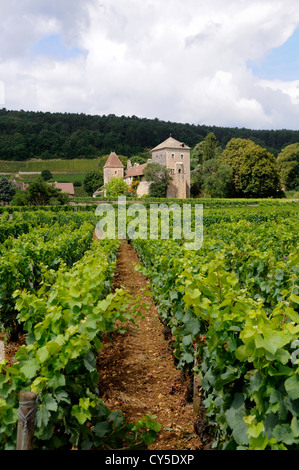 Il Château di Gevrey-Chambertin, Côte de Nuits, Bourgogne Franca Comte. Francia Foto Stock