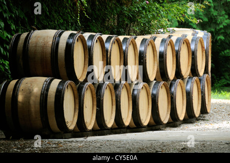 Di barili, Cote d'Or, Borgogna, in Francia, in Europa Foto Stock