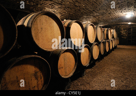 Botti di vino in una cantina, Cote d'Or, Borgogna, in Francia, in Europa Foto Stock