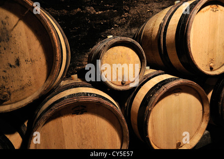 Botti di vino in una cantina, Cote d'Or, Borgogna, in Francia, in Europa Foto Stock