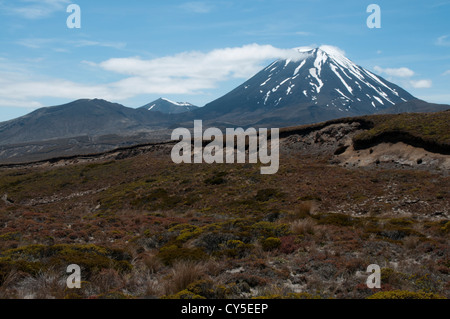 Imponente Ngauruhoe stratovulcano è il più giovane dei vulcani attivi nel Parco Nazionale di Tongariro. Tongariro è a sinistra. Foto Stock