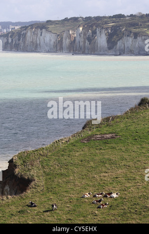 Alabastro costa vicino Varangeville-sur-Mer, Normandia, Francia Foto Stock