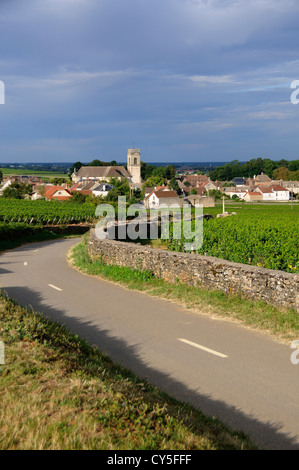 Vigneto e villaggio di Pommard, Cote d'Or, Route des grands crus, Bourgogne Franca Comte, Francia Foto Stock