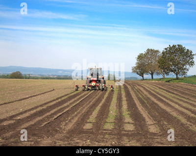 Il trattore arare un campo nella pianura Limagne, vicino Maringues, Auvergne, in Francia, in Europa in primavera Foto Stock