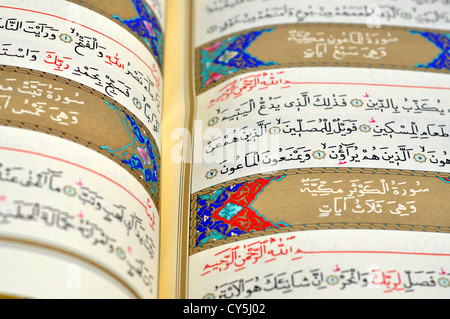 Le pagine del libro sacro del Corano Foto Stock
