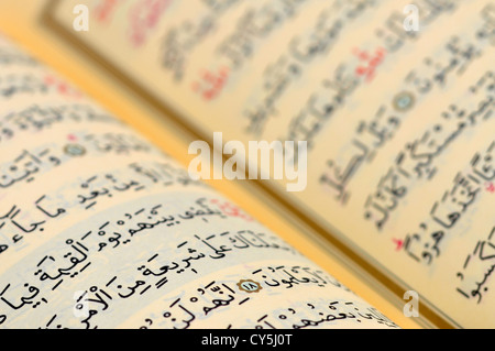Le pagine del libro sacro del Corano Foto Stock