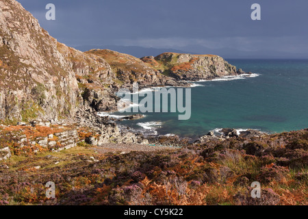 Soleggiato e heather bracken Camas Daraich Bay e Leir Mhaodail promontorio vicino al punto di Sleat, Isola di Skye, Scotland, Regno Unito Foto Stock