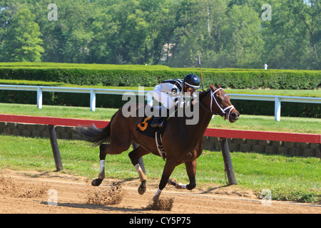 Jockey sul cavallo purosangue durante la gara Foto Stock