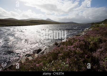 Vista pittoresca del Loch Chuilinn un serbatoio che alimenta l'acqua al vicino Achanalt Power Station. Foto Stock