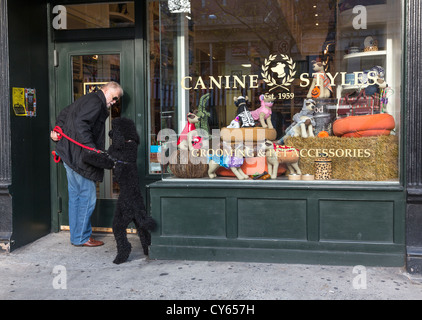 Proprietario del cane con barboncino eccitato entrando in stili di cane cane store, Manhattan, New York, Stati Uniti d'America Foto Stock