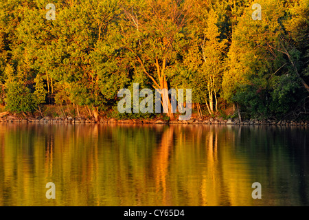 Una baia tranquilla all'alba sul lago Kagawong, Manitoulin Island- Kagawong, Ontario, Canada Foto Stock