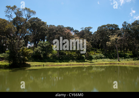 Lago del periyar riserva della tigre Kerala Foto Stock