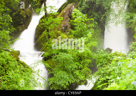 Livello di acqua alta in magazzino Ghyll, Ambleside, Lake District, REGNO UNITO, durante il bagnato estate del 2012. Foto Stock