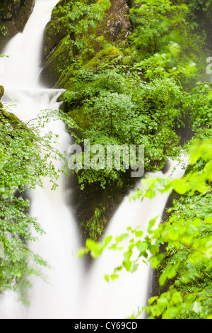 Livello di acqua alta in magazzino Ghyll, Ambleside, Lake District, REGNO UNITO, durante il bagnato estate del 2012. Foto Stock