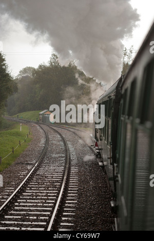 Bluebell linea ferroviaria, Sussex, Inghilterra Foto Stock