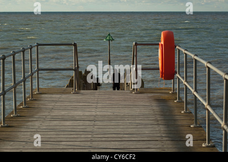 Lo straniero sul pontile, che guarda al mare. Foto Stock