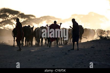 Masai tribesmen e il loro bestiame al tramonto, Amboseli National Park in Kenya. Foto Stock