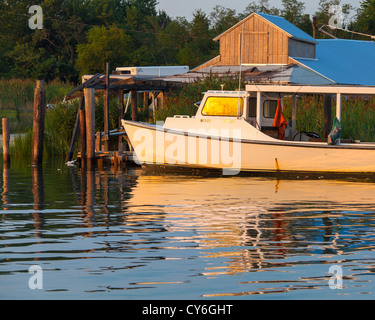 Tilghman Island, Maryland sole di mattina sulla pesca barche ormeggiate lungo Knapp's si restringe, Chesapeake Bay Foto Stock