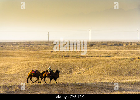 Un uomo corse due cammelli Bactrian lungo il deserto intorno a Jiayuguan passano nel Hexi Corridor, provincia di Gansu, Cina Foto Stock