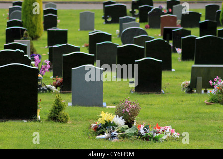 Fiori su nuova tomba nel cimitero con lapidi in background. La messa a fuoco in primo piano. Foto Stock