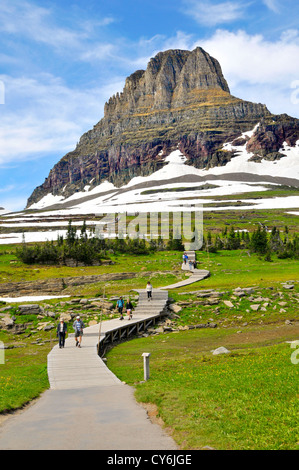 Logan pass Sentiero escursionistico Glacier National Park Montana MT US Foto Stock
