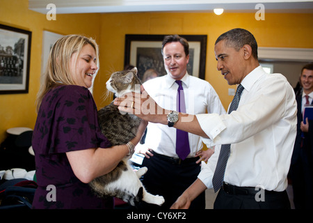 Primo Ministro britannico David Cameron introduce il Presidente Usa Barack Obama di Larry il gatto a 10 Downing Street 25 Maggio 2011 a Londra, Inghilterra. Foto Stock