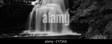 Immagine in bianco e nero panoramica forza elastica cascata, Fiume Ure, Wensleydale; Yorkshire Dales National Park, Inghilterra Foto Stock