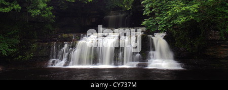 Forza elastica cascata, Fiume Ure, Wensleydale; Yorkshire Dales National Park, England, Regno Unito Foto Stock