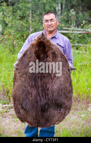 Robert Grandjamber una prima nazione canadese che vive a Fort Chipewyan, con una pelle di castoro. Foto Stock