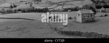 Immagine in bianco e nero in pietra panoramico fienili, prati fioriti, Muker village, Swaledale; Yorkshire Dales National Park, Inghilterra Foto Stock